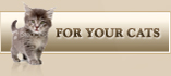 For Your Cats